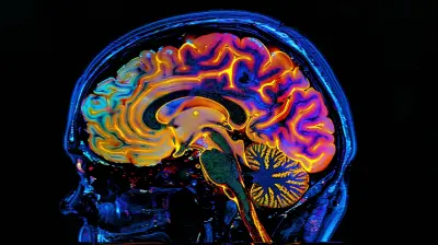 How Brain Scans Are Revolutionizing Mental Health Diagnosis